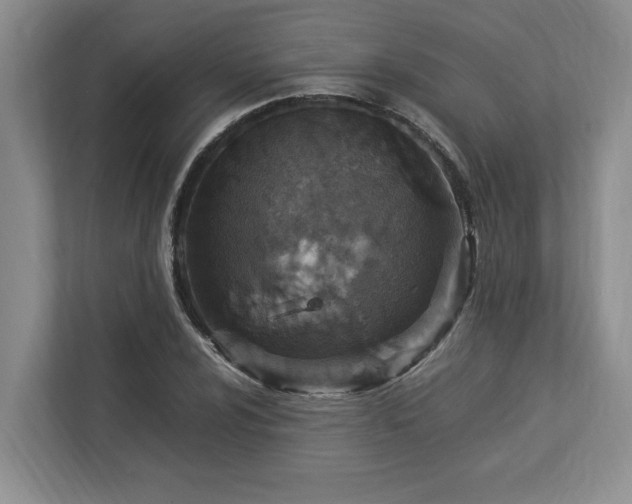 X0000112951024200908241338