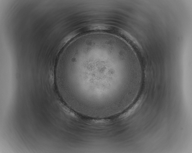 X0000112951025200908241338