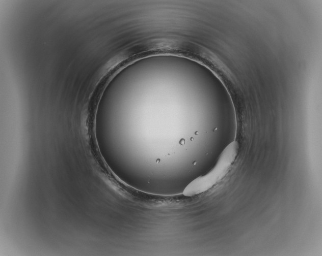 X0000112951026200908241338