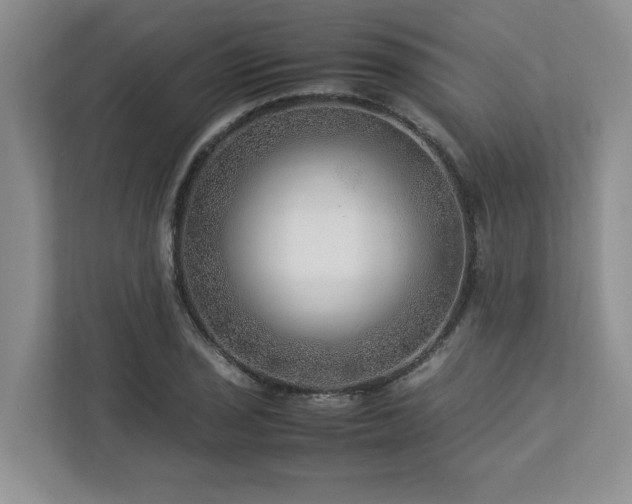 X0000112951029200908241338