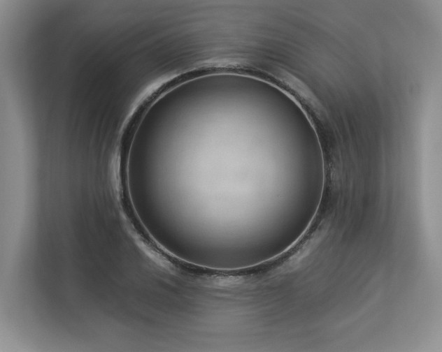 X0000112951030200908241338