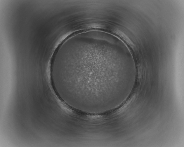 X0000112951031200908241338