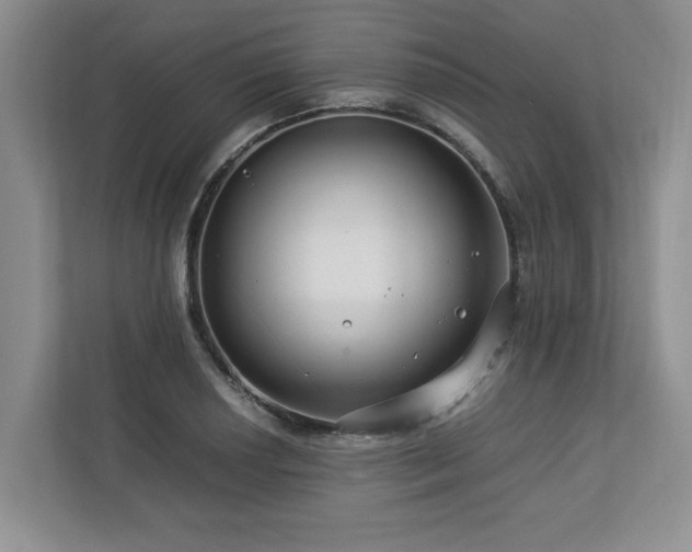 X0000112951034200908241338