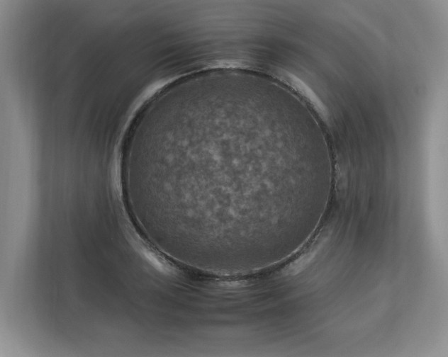 X0000112951035200908241338