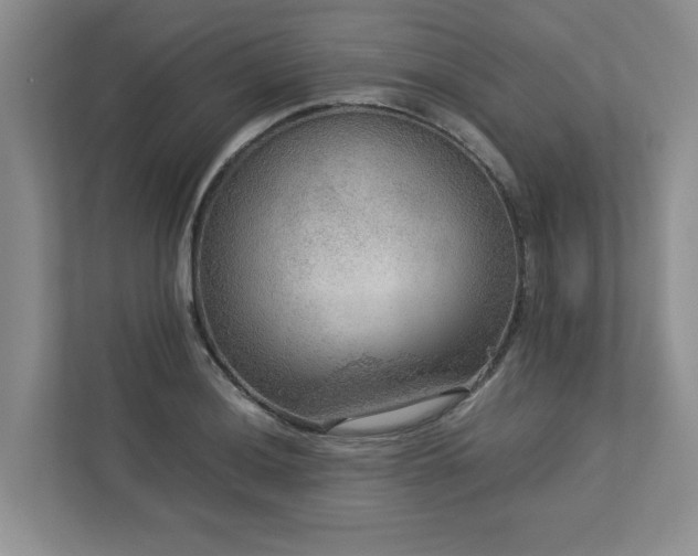 X0000112951036200908241338