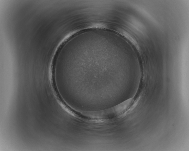 X0000112951037200908241338