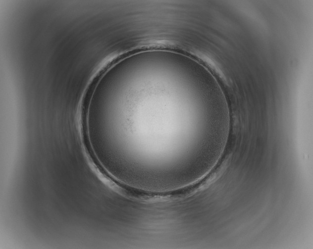 X0000112951038200908241338