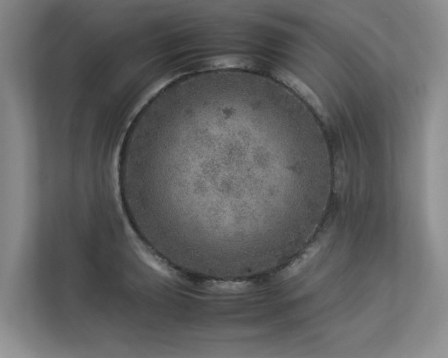 X0000112951039200908241339