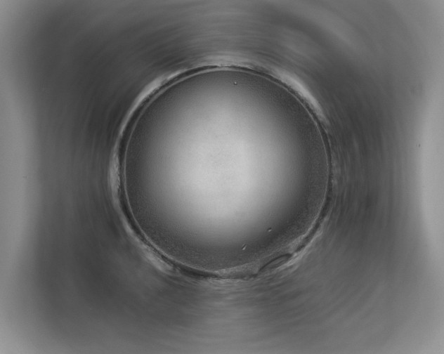 X0000112951040200908241339