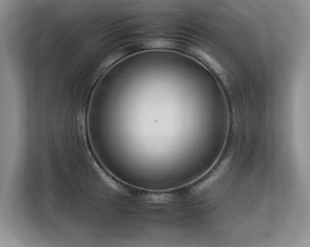 X0000112951041200908241339