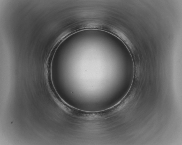 X0000112951042200908241339