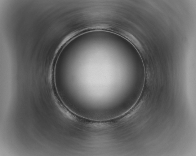 X0000112951044200908241339