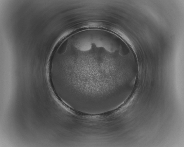 X0000112951045200908241339