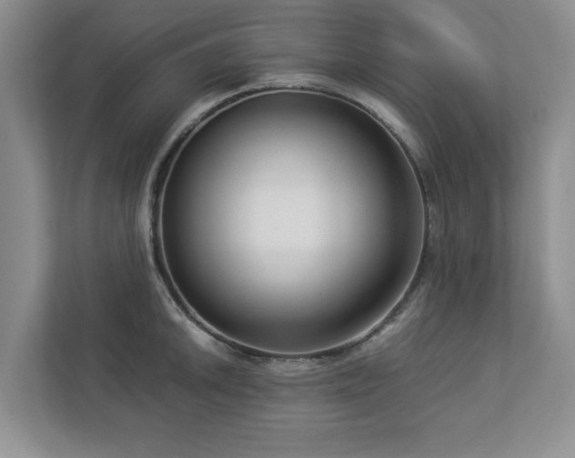 X0000112951046200908241339