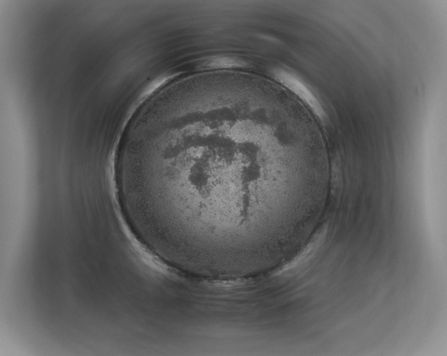 X0000112951047200908241339