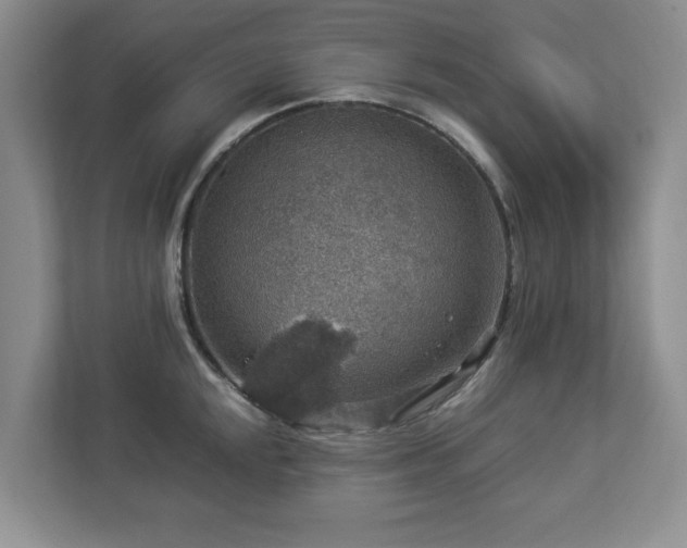 X0000112951048200908241339