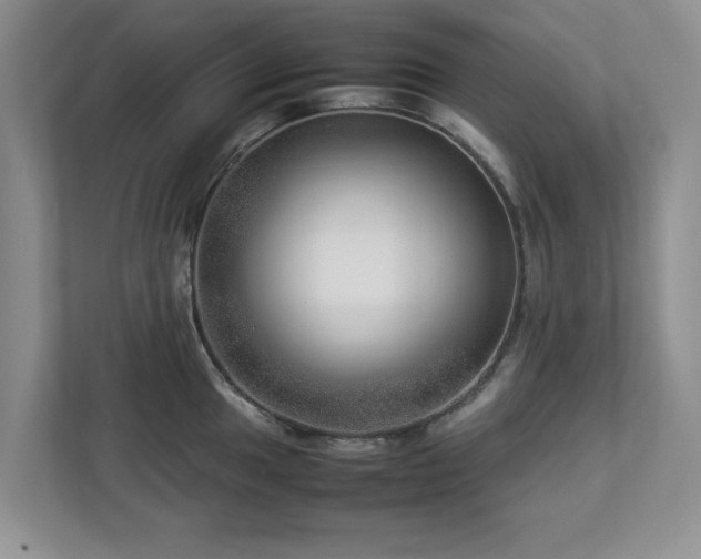 X0000112951049200908241339