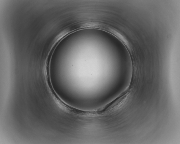 X0000112951050200908241339