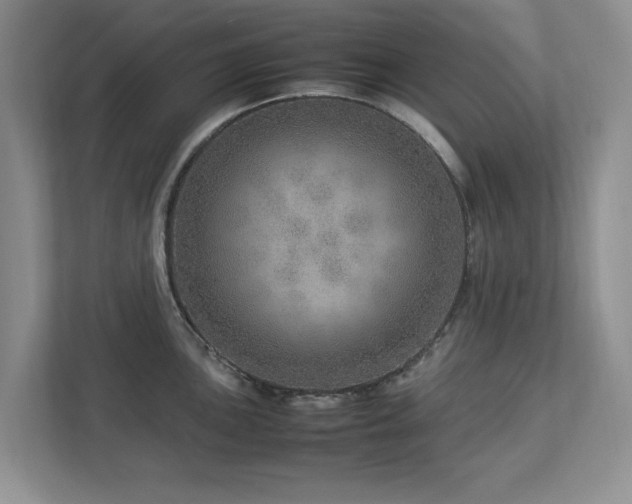 X0000112951051200908241339