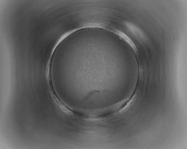 X0000112951052200908241339