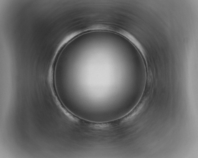 X0000112951053200908241339