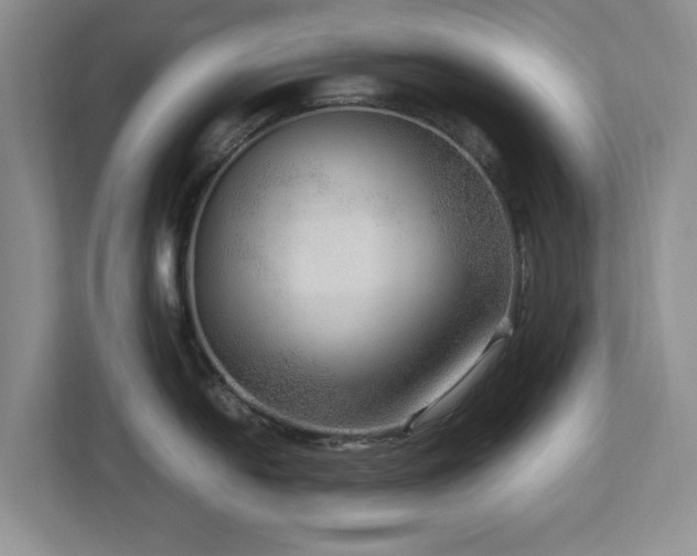 X0000112951054200908241339