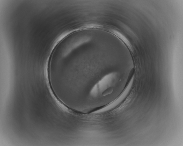 X0000112951055200908241339