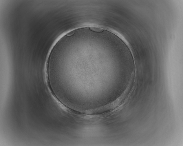 X0000112951056200908241339