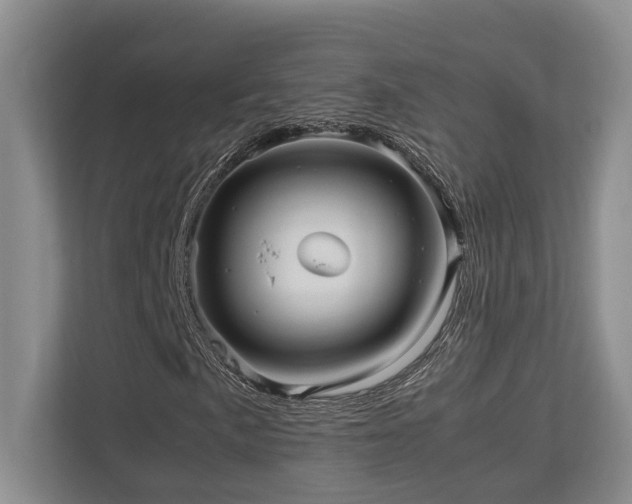 X0000112951057200908241338