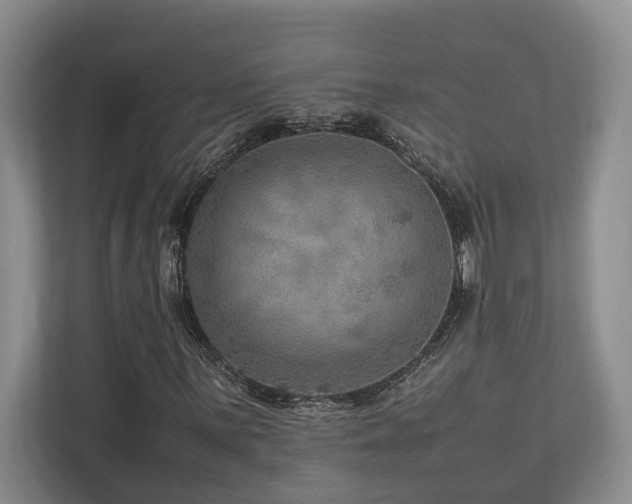 X0000112951059200908241338