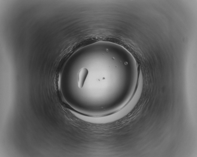 X0000112951060200908241338