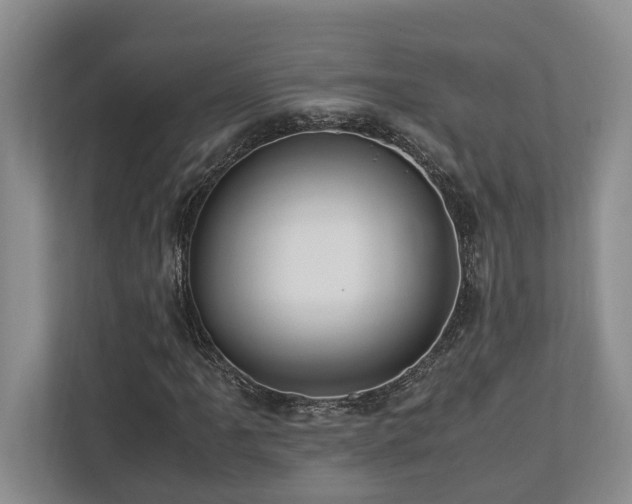 X0000112951061200908241338