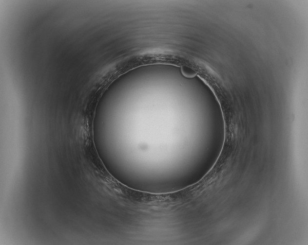 X0000112951062200908241338