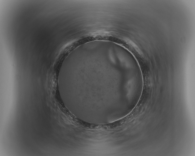 X0000112951063200908241338