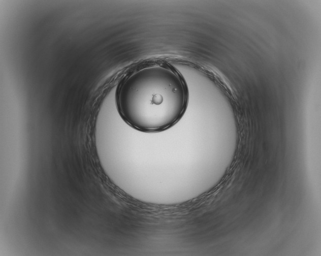 X0000112951064200908241338