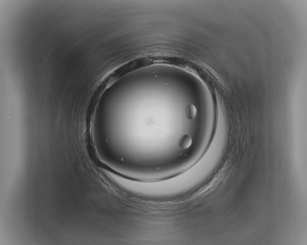 X0000112951065200908241338