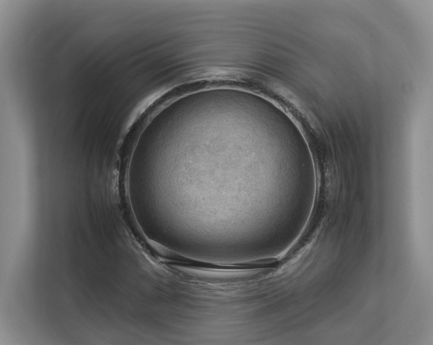 X0000112951066200908241338