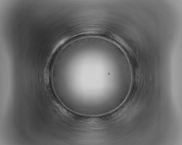 X0000112951067200908241338