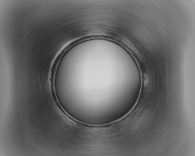 X0000112951068200908241338