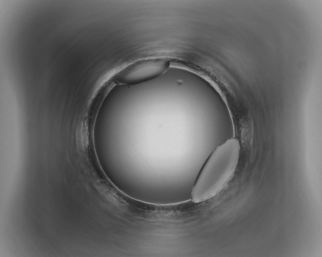 X0000112951069200908241338