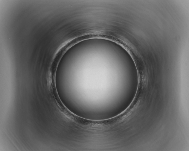 X0000112951070200908241338