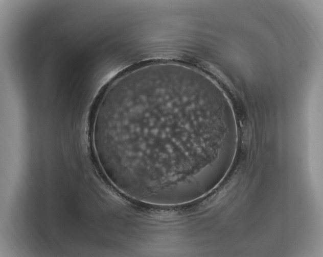 X0000112951071200908241338