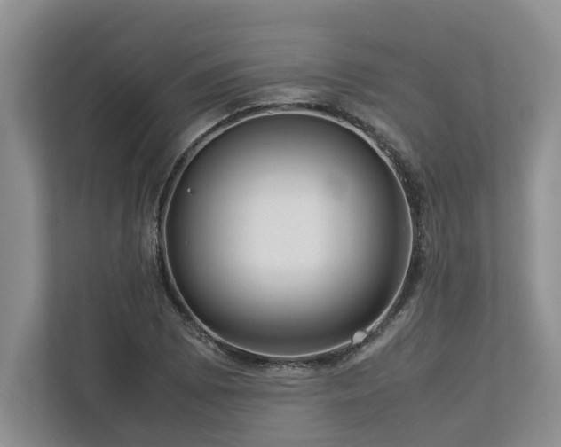 X0000112951073200908241338