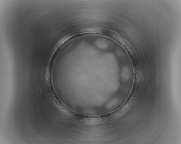 X0000112951074200908241338
