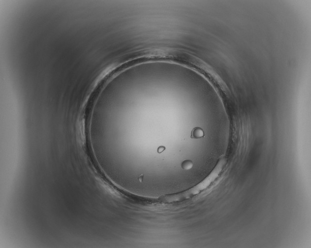 X0000112951075200908241338