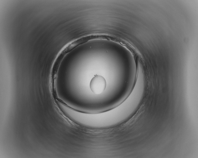 X0000112951076200908241338