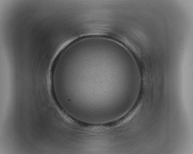 X0000112951077200908241338