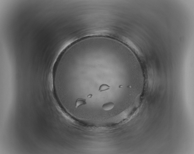 X0000112951079200908241338