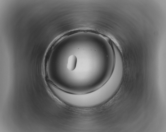 X0000112951080200908241338