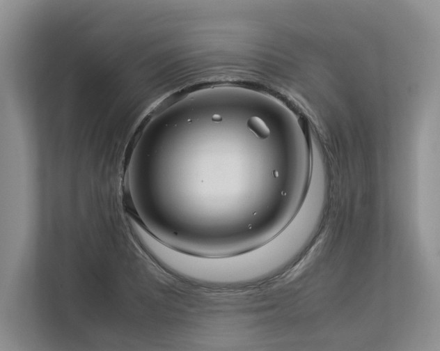 X0000112951081200908241338